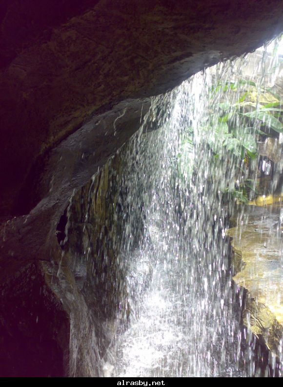 معرض الصور 1 12