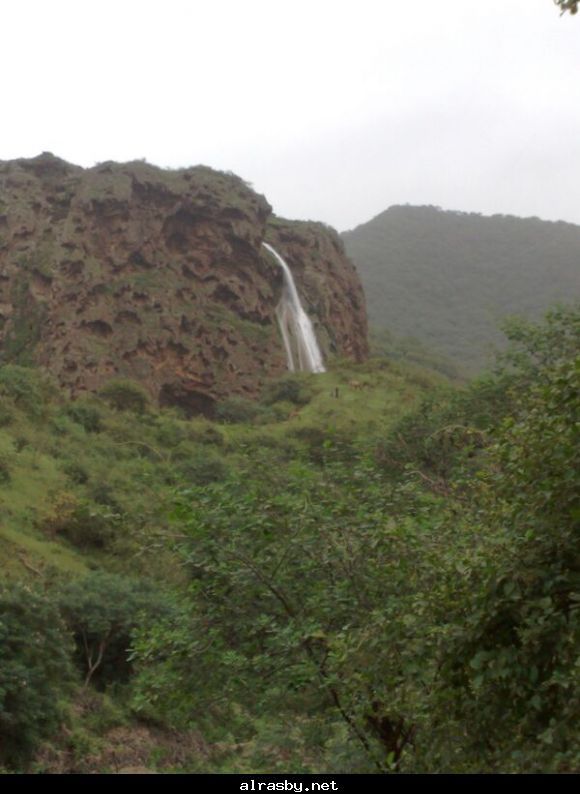 معرض الصور 1 22