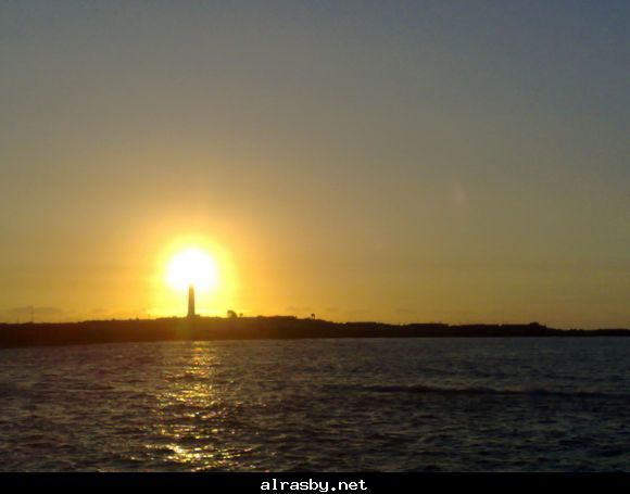 معرض الصور 1 9