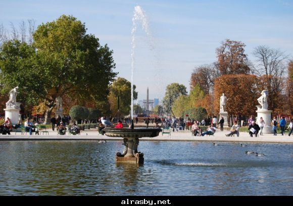 معرض الصور 2 3
