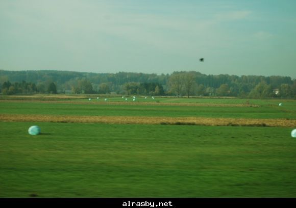 معرض الصور 2 21