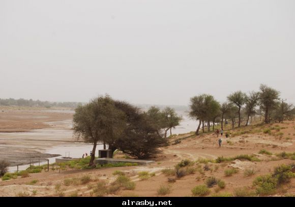 معرض الصور 3 10