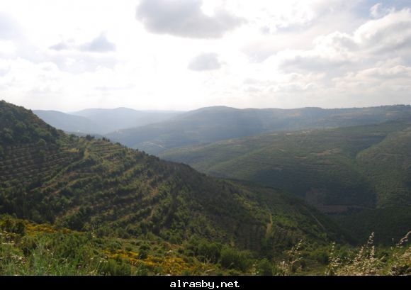 معرض الصور 3 18