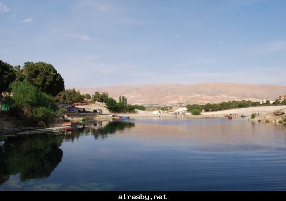 معرض الصور 3 21