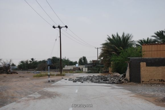 معرض الصور 4