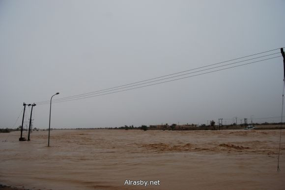معرض الصور 4 7