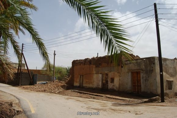 معرض الصور 4 12
