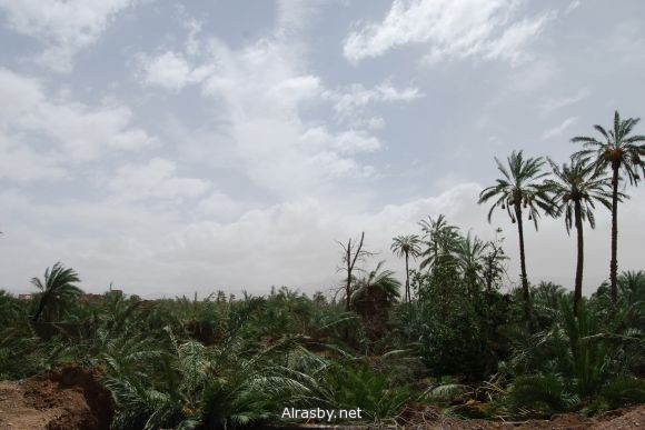 معرض الصور 4 24