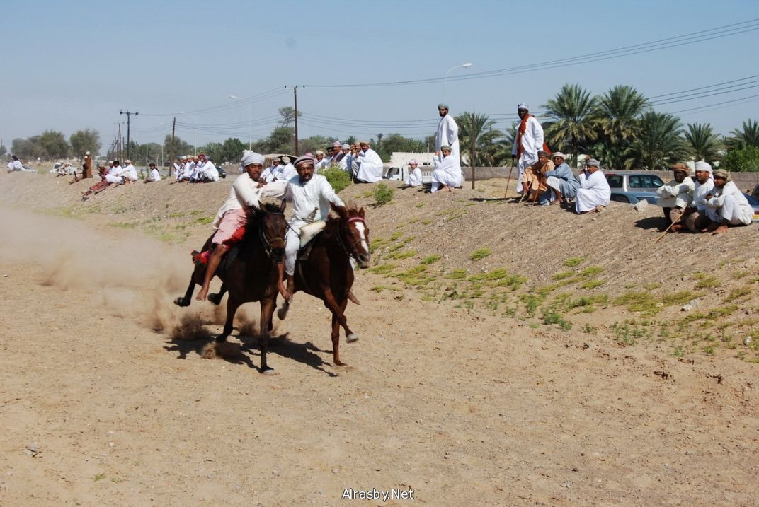 معرض الصور 5 7