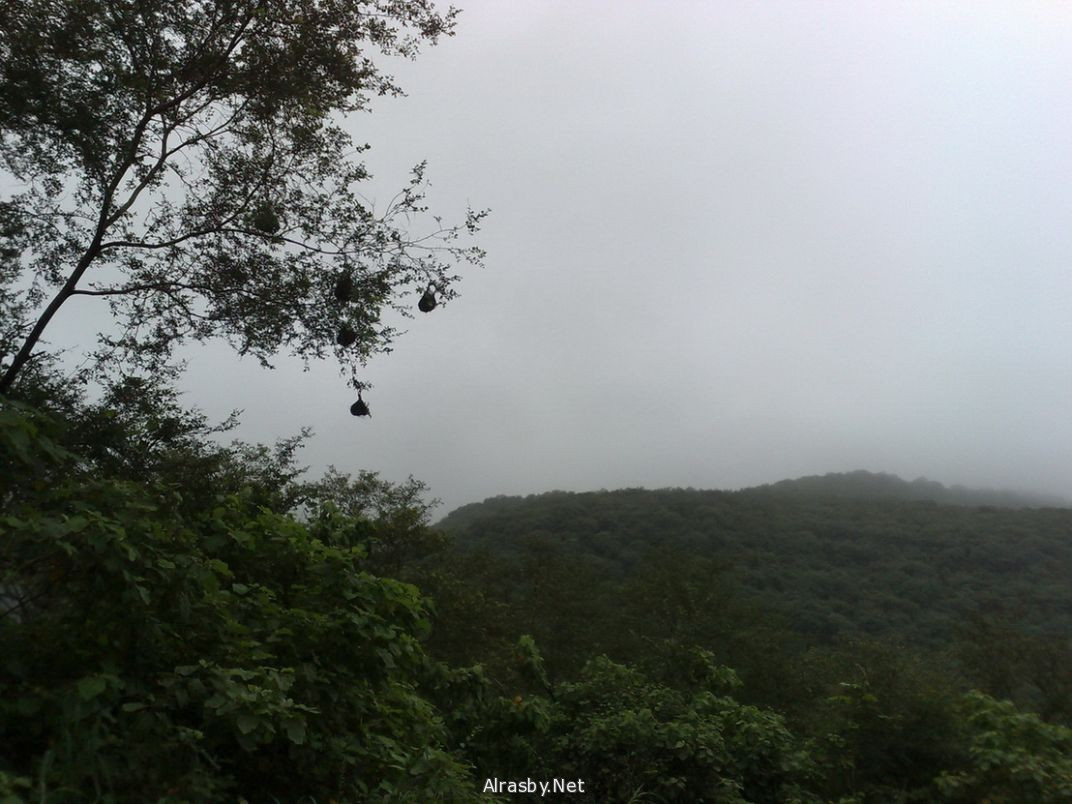 معرض الصور 5 8