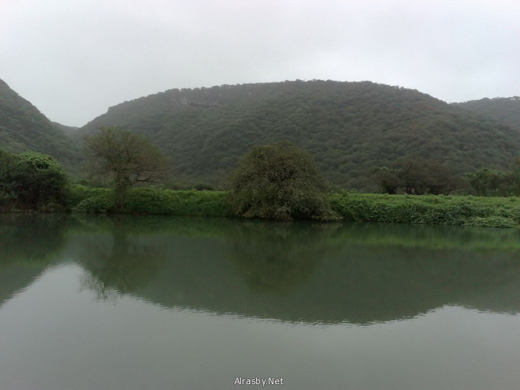 معرض الصور 5 24
