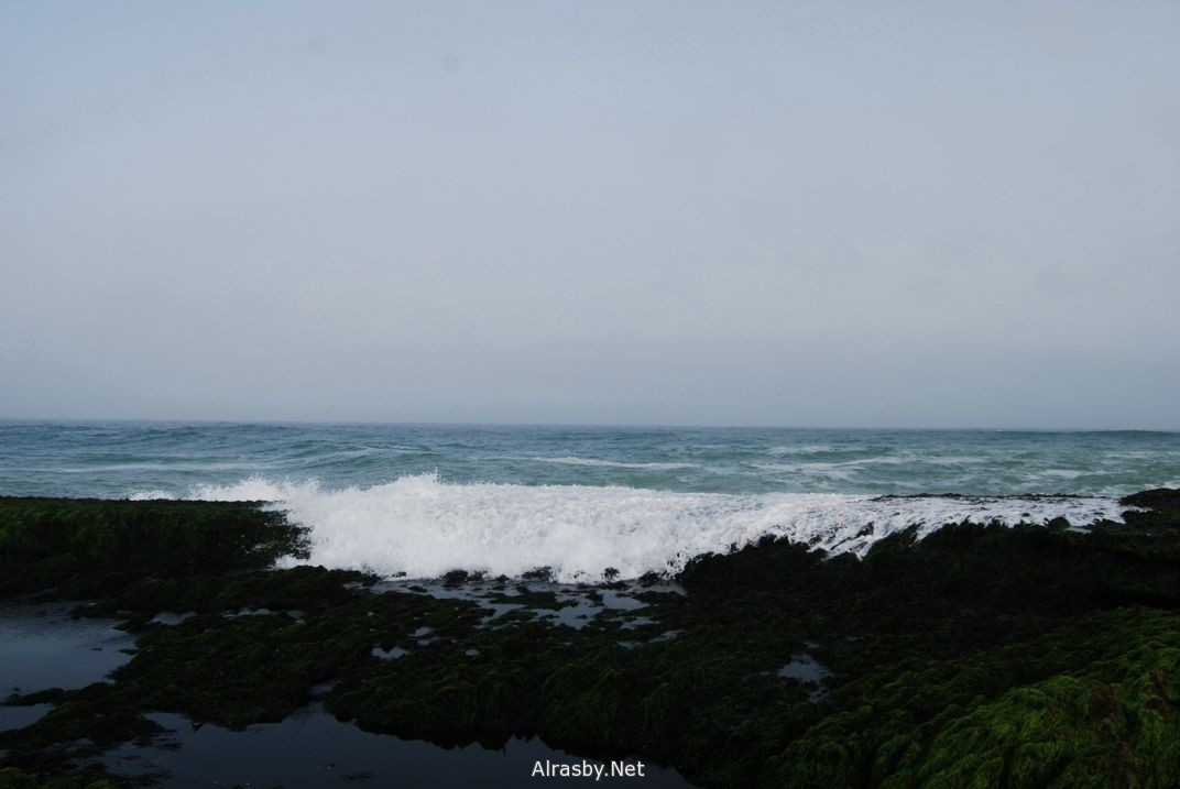 معرض الصور 6 5
