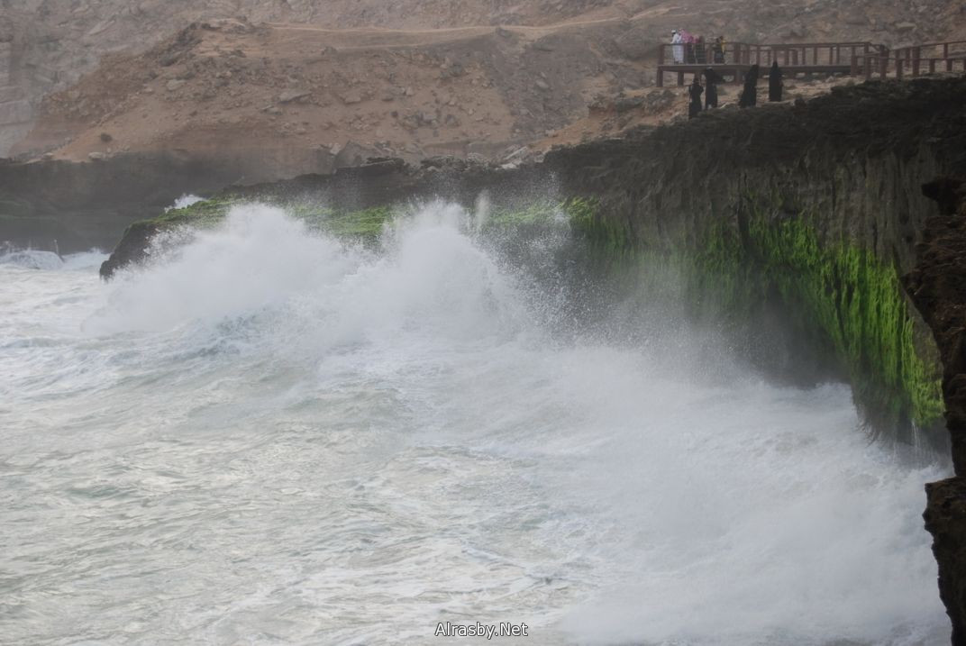 معرض الصور 6 15