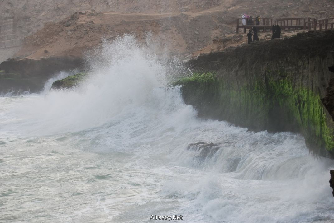 معرض الصور 6 17