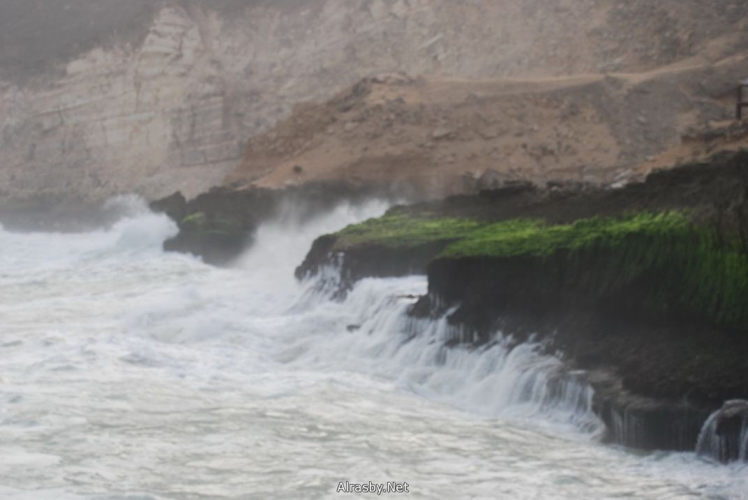 معرض الصور 6 22