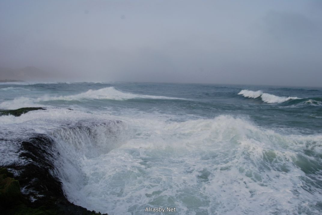 معرض الصور 6 24