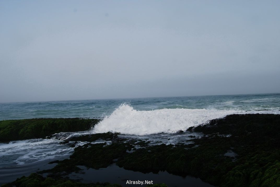 معرض الصور 6 2